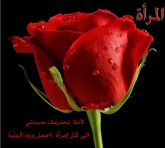 اليوم العالمي للمرأة by abidi jazia - Ourboox.com