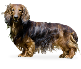 Mina by Helena Anette - Ourboox.com