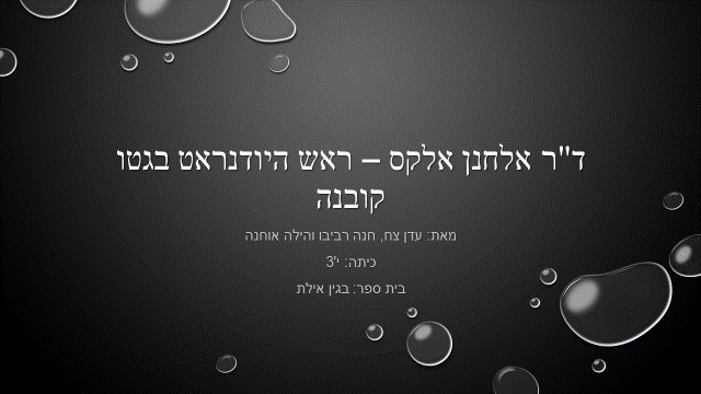 אידאולוגיה הנאצית by עדן הילה וחנה - Illustrated by עדן צח הילה אוחנה וחנה רביבו - Ourboox.com