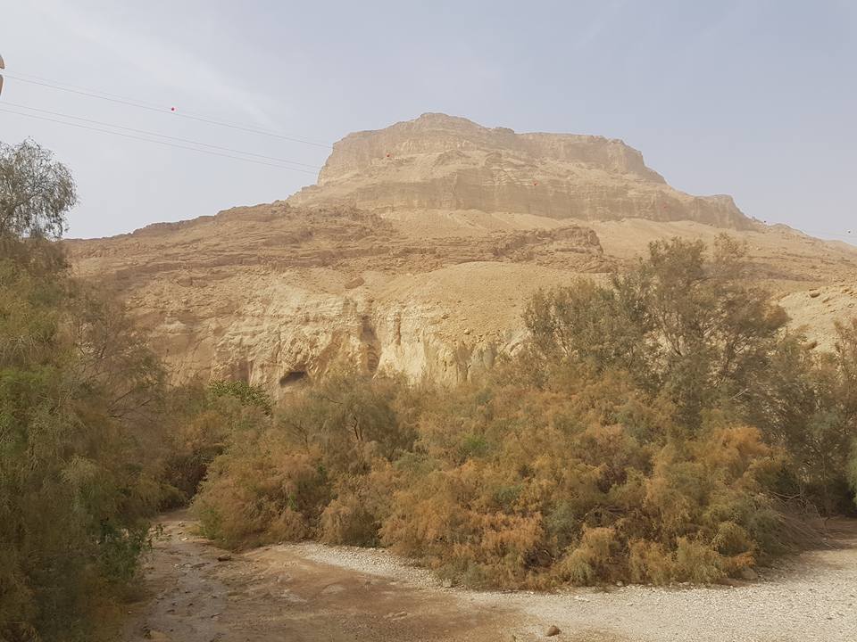 “כה לחי לאחי החי” – קושיה אישית מהאיש מליח שמעון by Yoged - יגודז