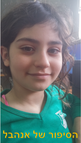 הספר המקסים של אנהבל by tali - Ourboox.com