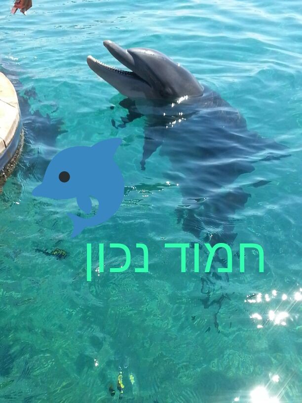 סיפורי ילדי ישראל by liran  - Illustrated by תלמידי כיתת ג