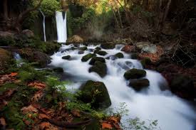 עשרה מקומות שכדאי לבקר בארץ ישראל by yakov davidov - Illustrated by מאת: יעקב דוידוב,דביר גטהון - Ourboox.com