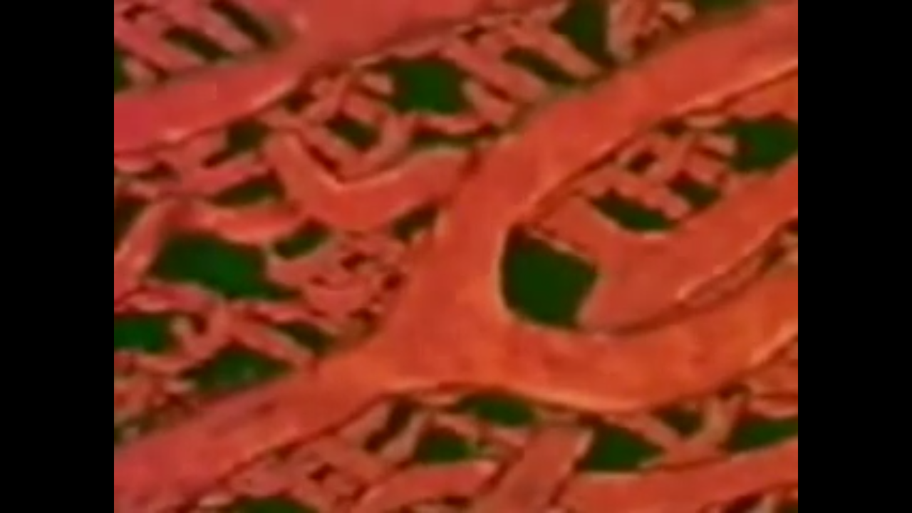 قصة قطرة الدم الحمراء by hasarma nayfah - Ourboox.com