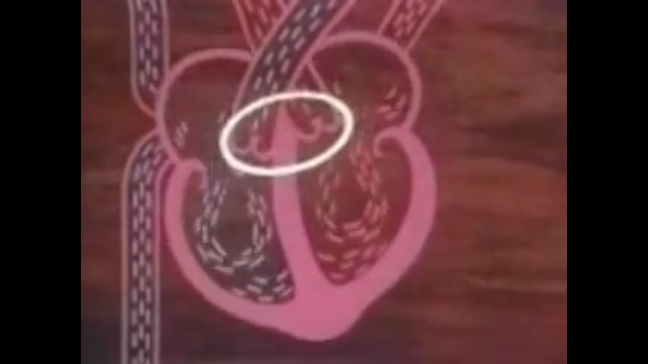 قصة قطرة الدم الحمراء by hasarma nayfah - Ourboox.com