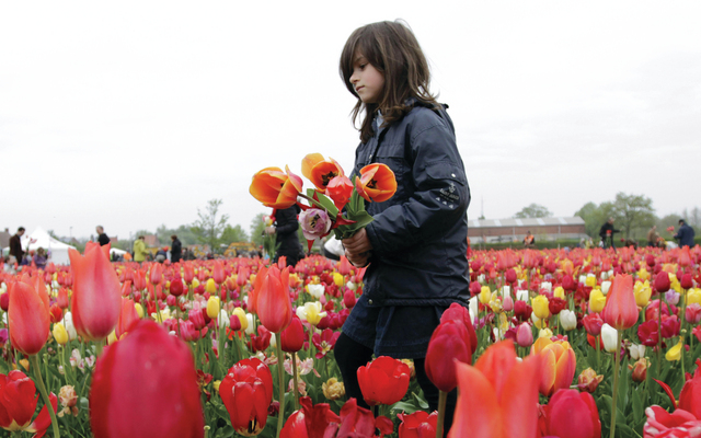 قصة قطرة الدم الحمراء by hasarma nayfah - Ourboox.com