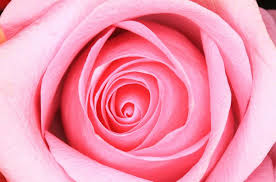 قصص خياليه by noor zghayer - Illustrated by نور زغير - Ourboox.com