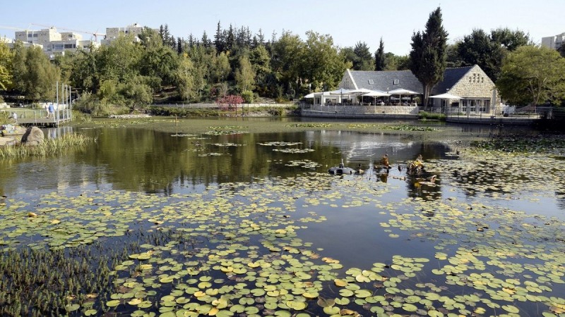 סיפורי ילדי ישראל by raz faraji - Illustrated by  תלמידי ג