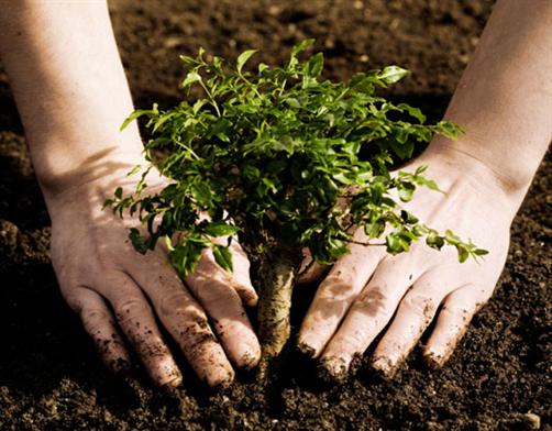 احكام وعبارات by rama amro - Illustrated by RAMA AMRO - Ourboox.com