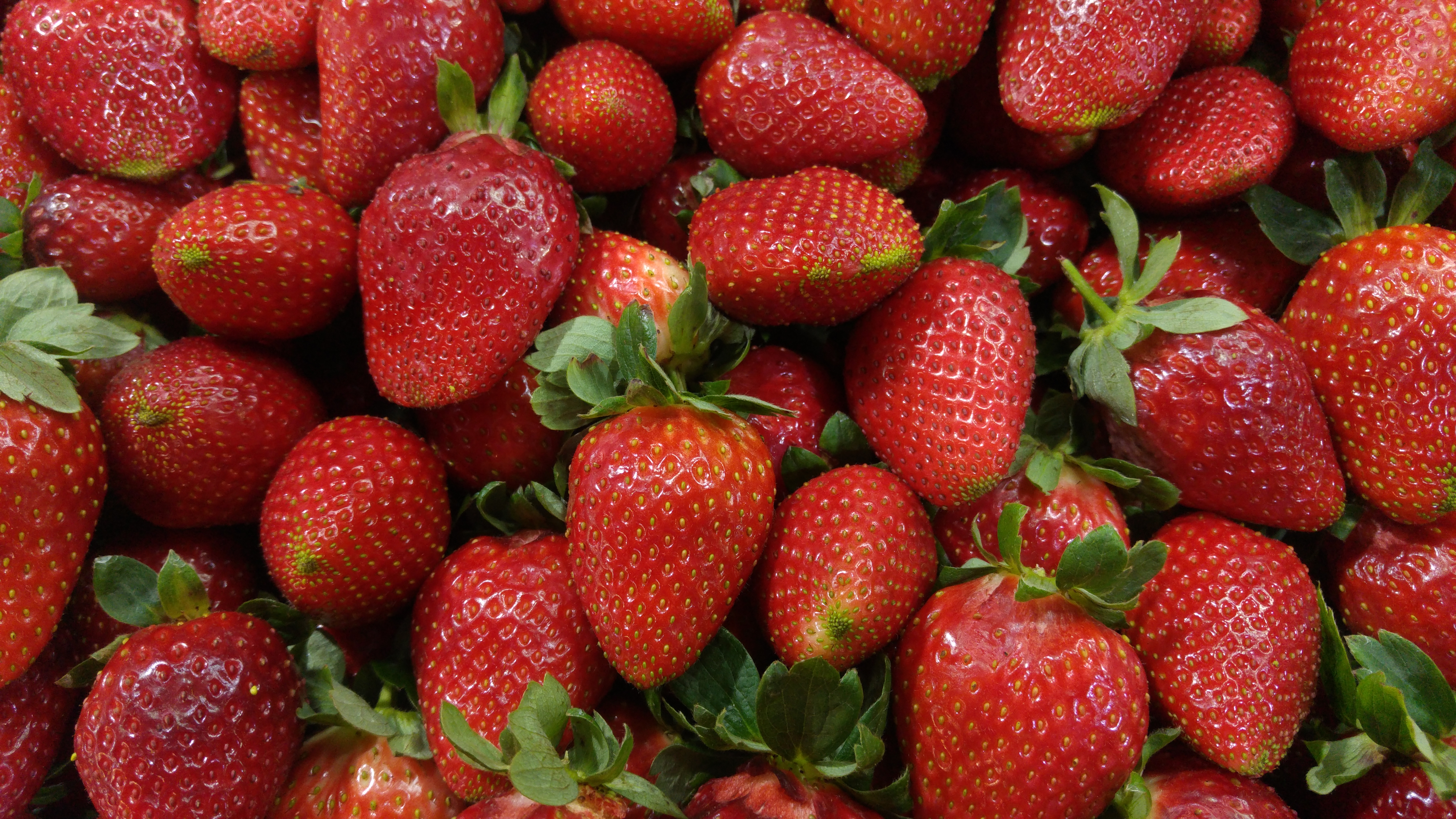 ליאת רז by liat raz - Ourboox.com