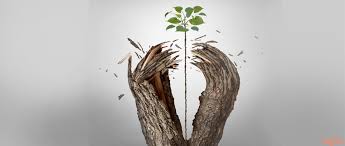 قوه الاراده by doha - Illustrated by ضحى ابورميله - Ourboox.com