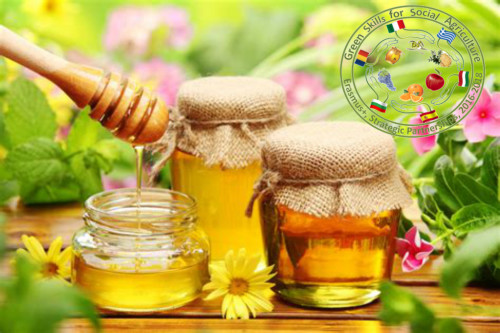 Медът- творение и въплъщение на слънцето by Maria - Ourboox.com