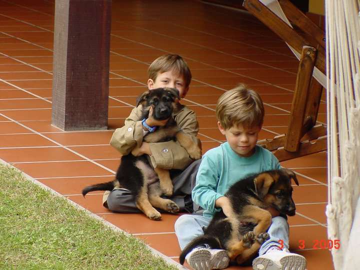 Something About Me by Tomi Toffolo - Ourboox.com