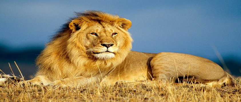 الاحرف الهيجائية by omar - Ourboox.com