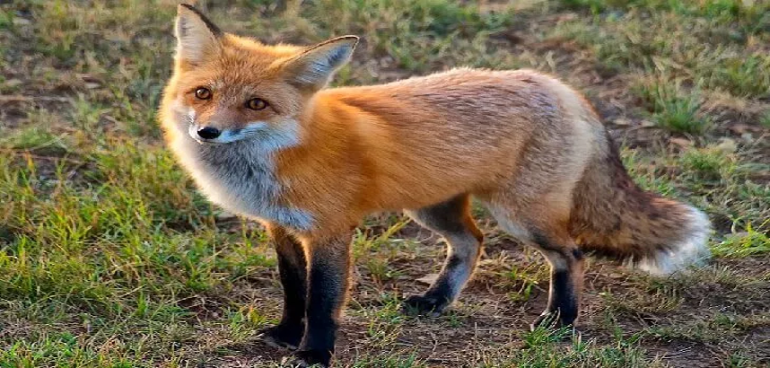 الاحرف الهيجائية by omar - Ourboox.com