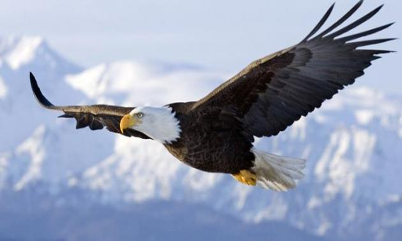 الاحرف الهيجائية by omar - Ourboox.com