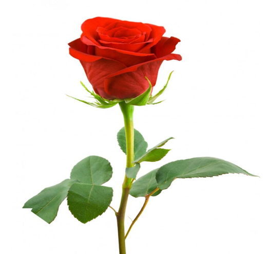 الاحرف الهيجائية by omar - Ourboox.com