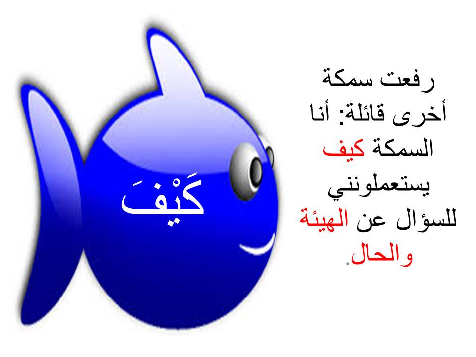أسماكُ الاستفهام by maram - Ourboox.com