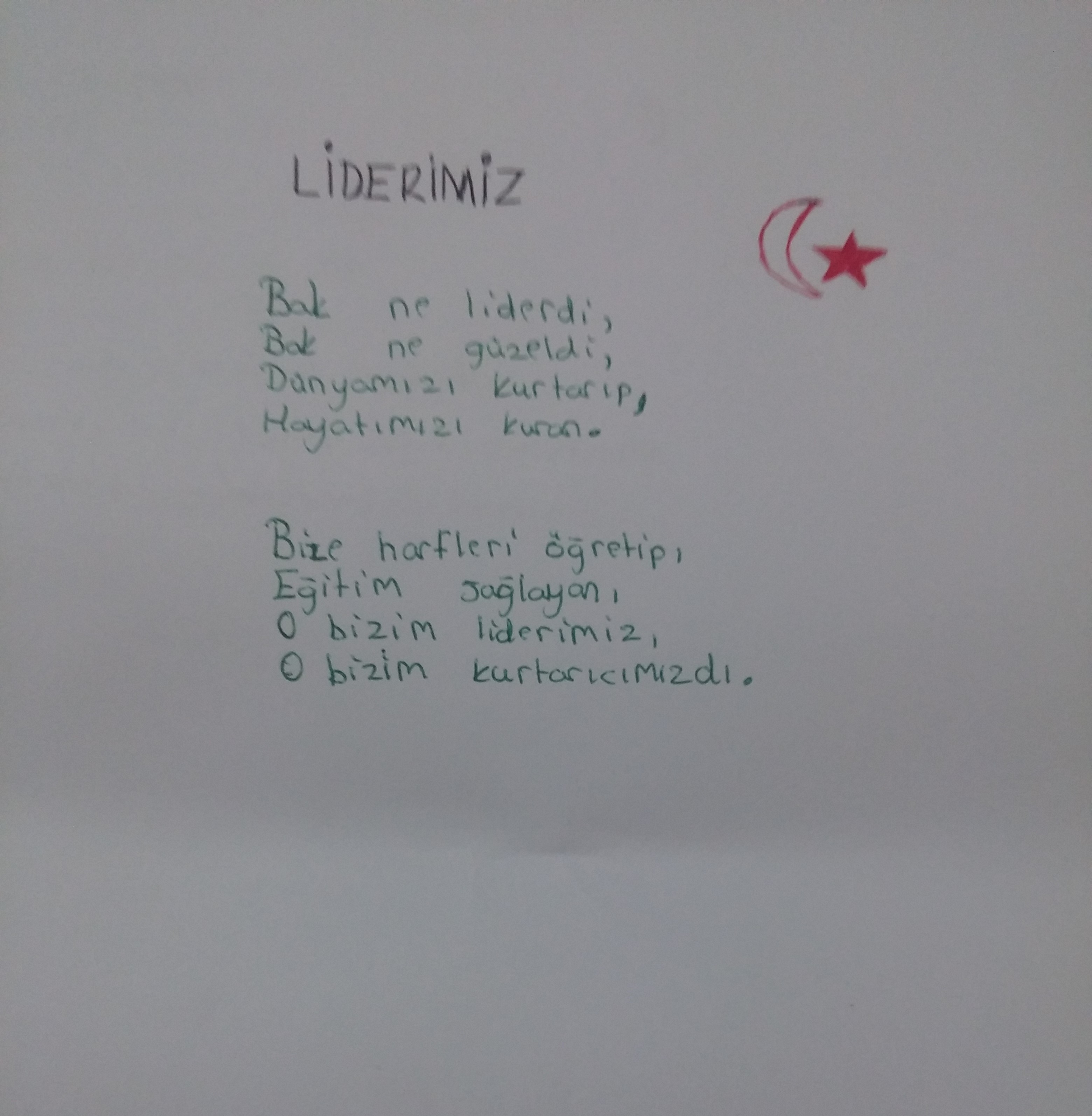 Atatürk’e şiirler by TUGBA YAZICI - Ourboox.com