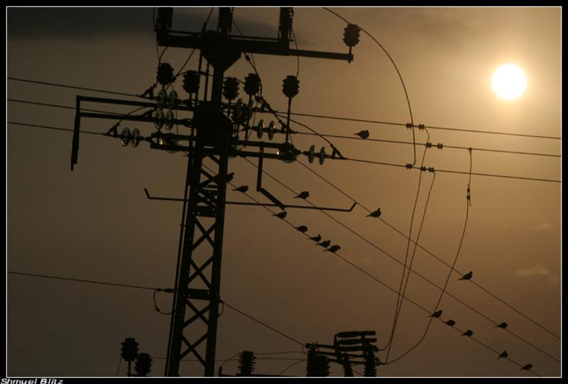 מתכות by אורית אפרת אורטל יעל - Illustrated by אורטל רפאלוב, אורית סרוסי, אפרת קר ויעל אונה - Ourboox.com