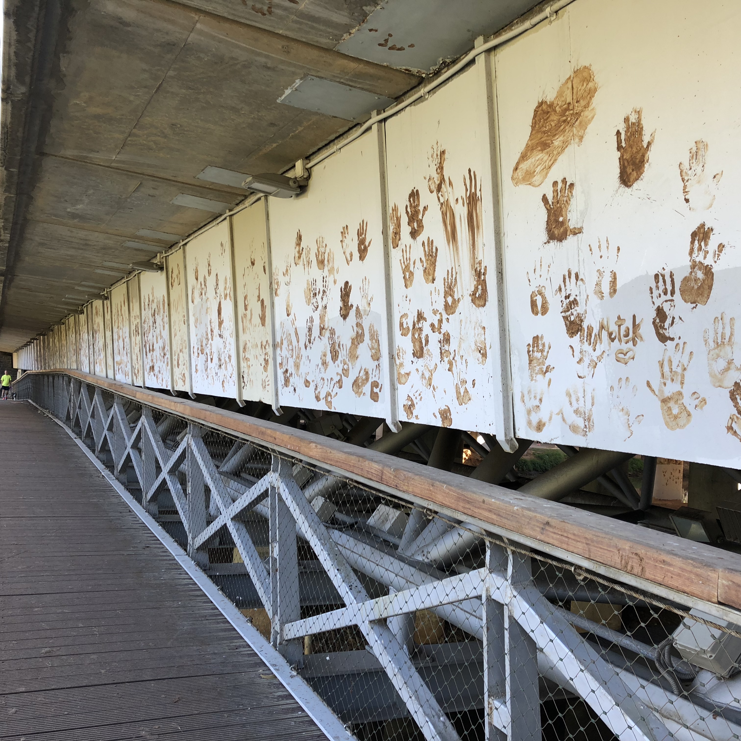 Mud Day in Tel Aviv, 2018 by Mel Rosenberg - מל רוזנברג - Ourboox.com
