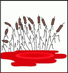 10 המכות by marlen - Illustrated by עדן - Ourboox.com