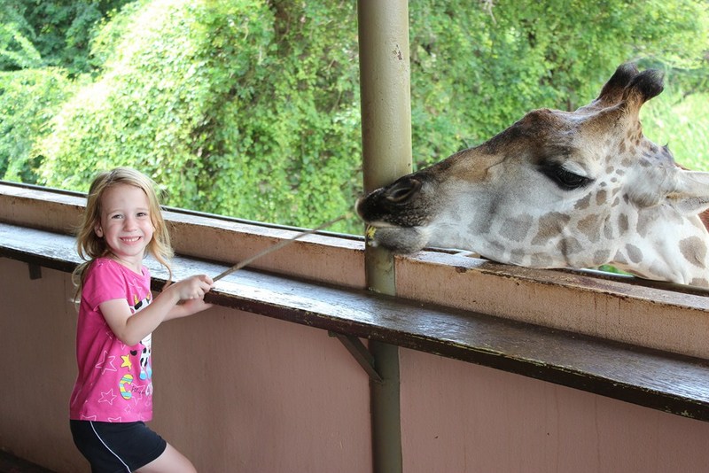 זאת אני בגיל 5