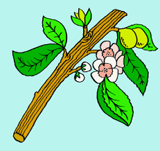 The Sequel to קרח’s Rebellion by Leba Weissman - Illustrated by Leba Weissman - Ourboox.com