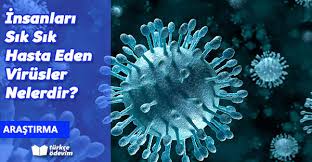 VİRÜSLER by Kadir Deniz Zorkol - Ourboox.com