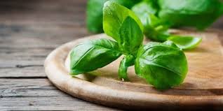 فوائد الاعشاب by yosra asealah - Illustrated by يسرى عسيلة - Ourboox.com