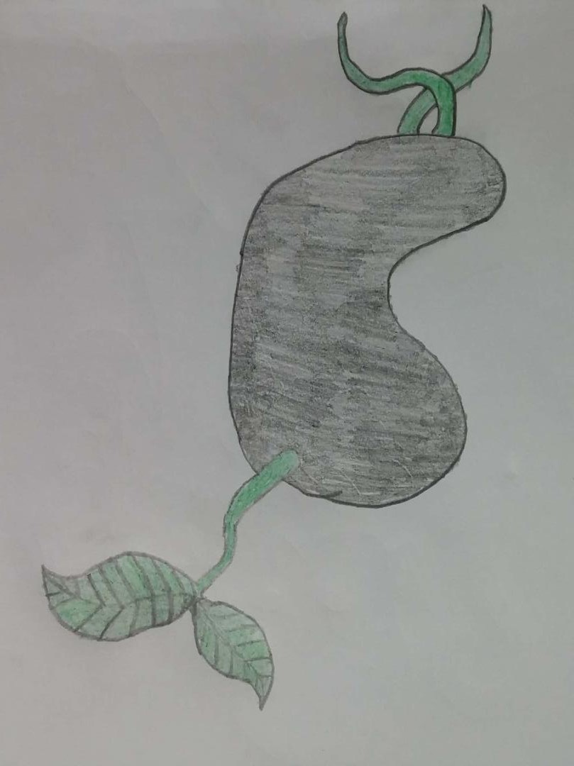 YAŞLI DEDE VE SİHİRLİ TOHUM by Süleyman - Ourboox.com