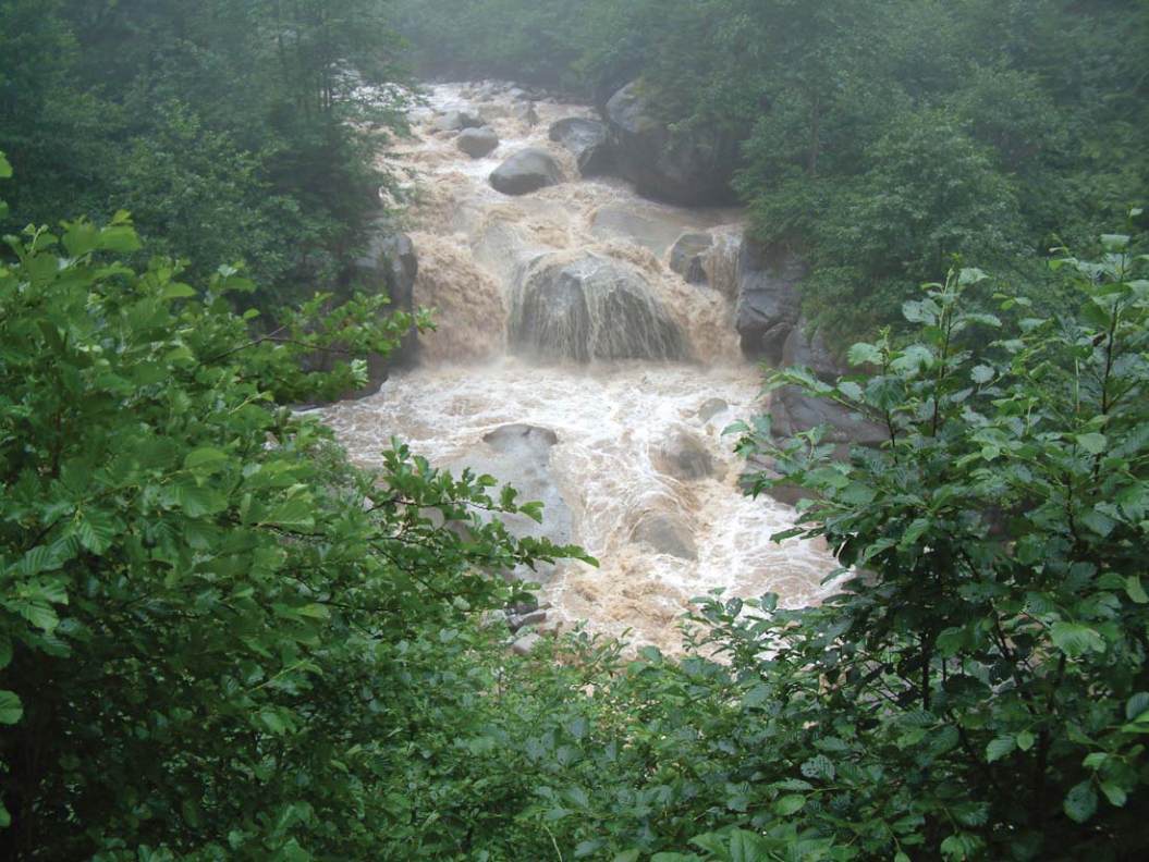 TEMBEL KOALA by yaman - Ourboox.com