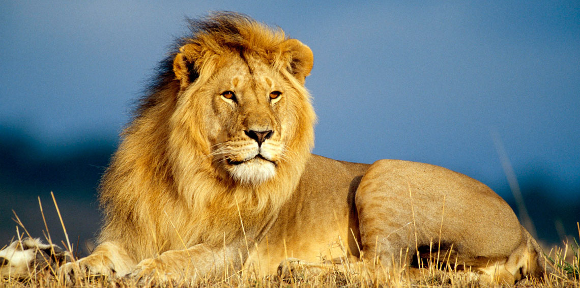 الاحرف by maysa - Ourboox.com