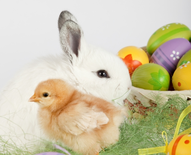 презентации by dzhn - Ourboox.com