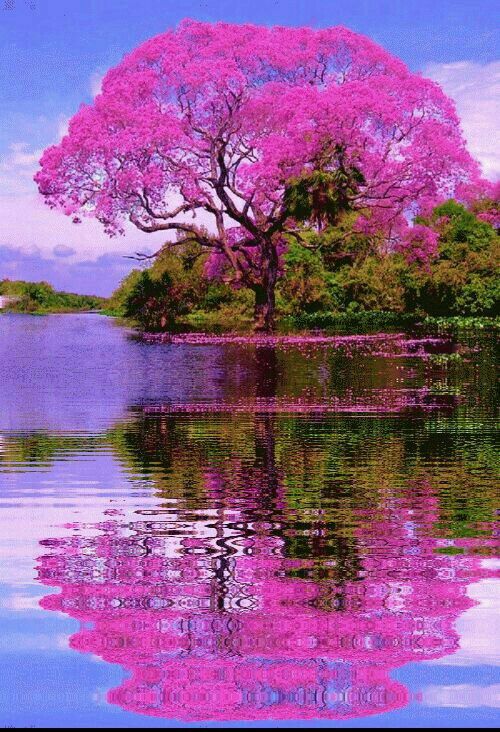 טורקיז האביב של חיים בניחוח האביב by Rosita Brener - Illustrated by כל התמונות מהרשת - Ourboox.com