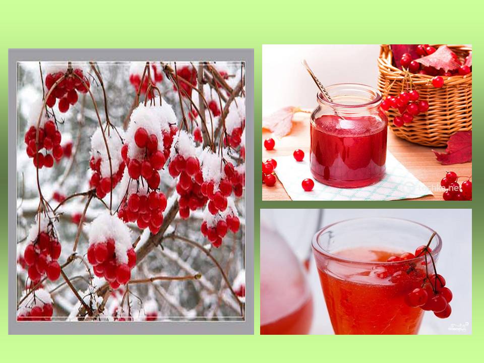 Корисні властивості відомих рослин by Olga Orlova - Ourboox.com