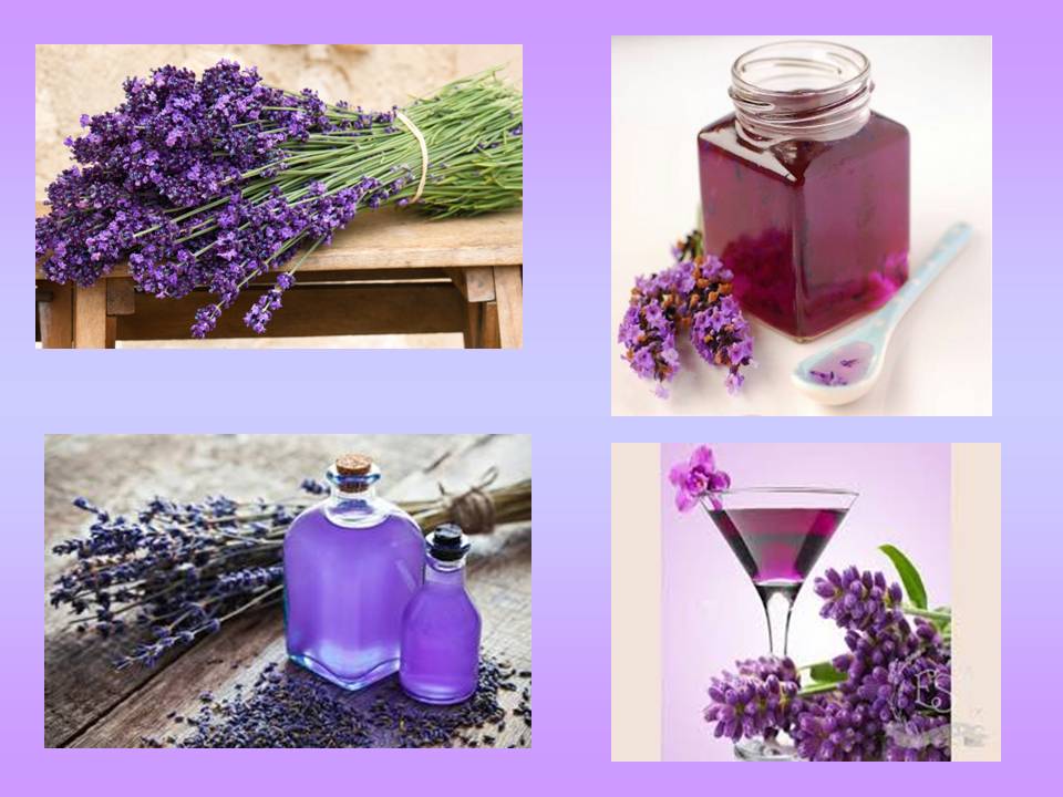 Корисні властивості відомих рослин by Olga Orlova - Ourboox.com