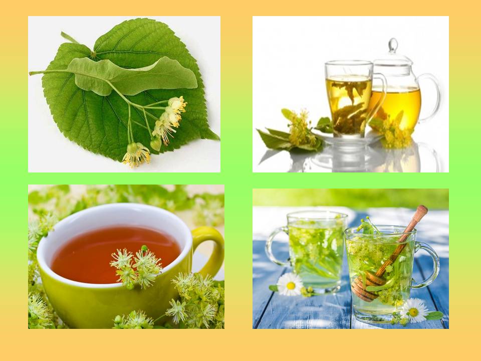 Корисні властивості відомих рослин by Olga Orlova - Ourboox.com