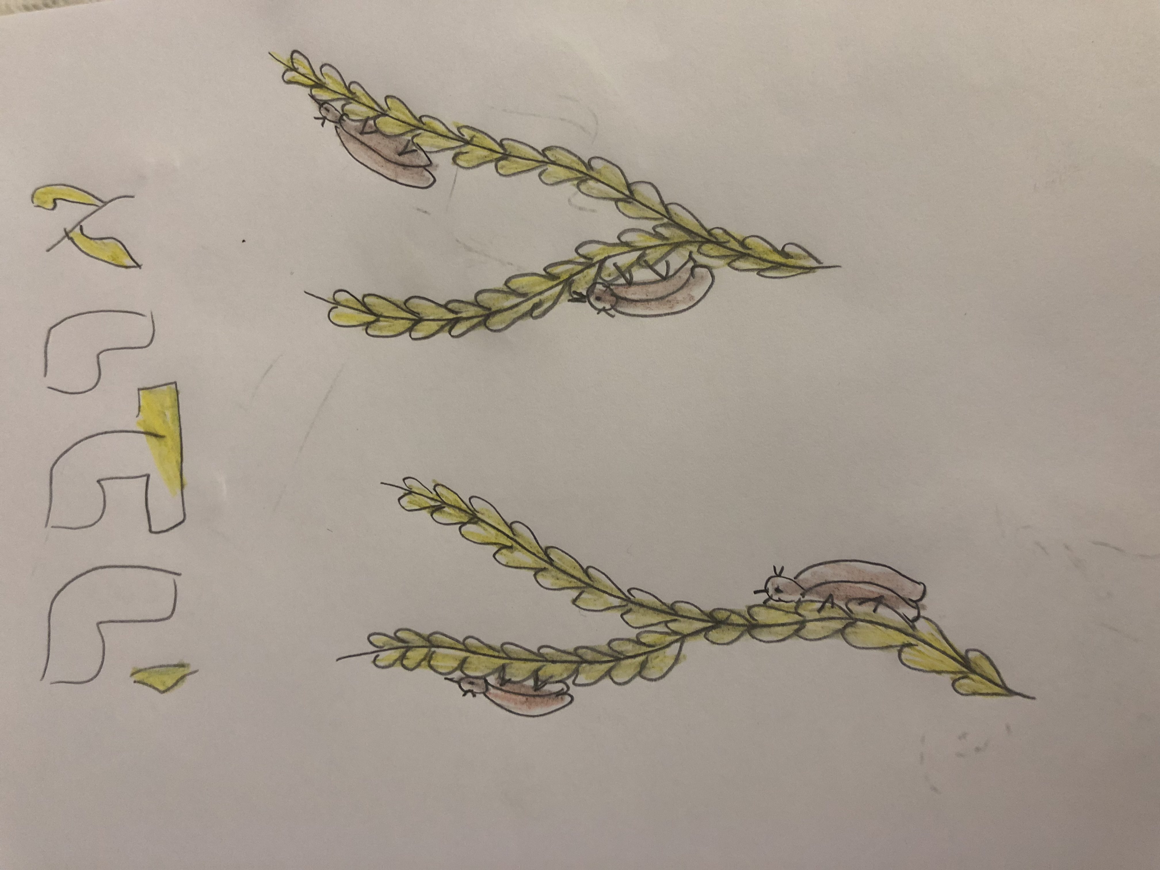 יומן יציאת מצריים by KOBI - Illustrated by קובי לוי  - Ourboox.com