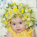 الوسط البيئي by aminemakni - Illustrated by منيرة شبوح - Ourboox.com