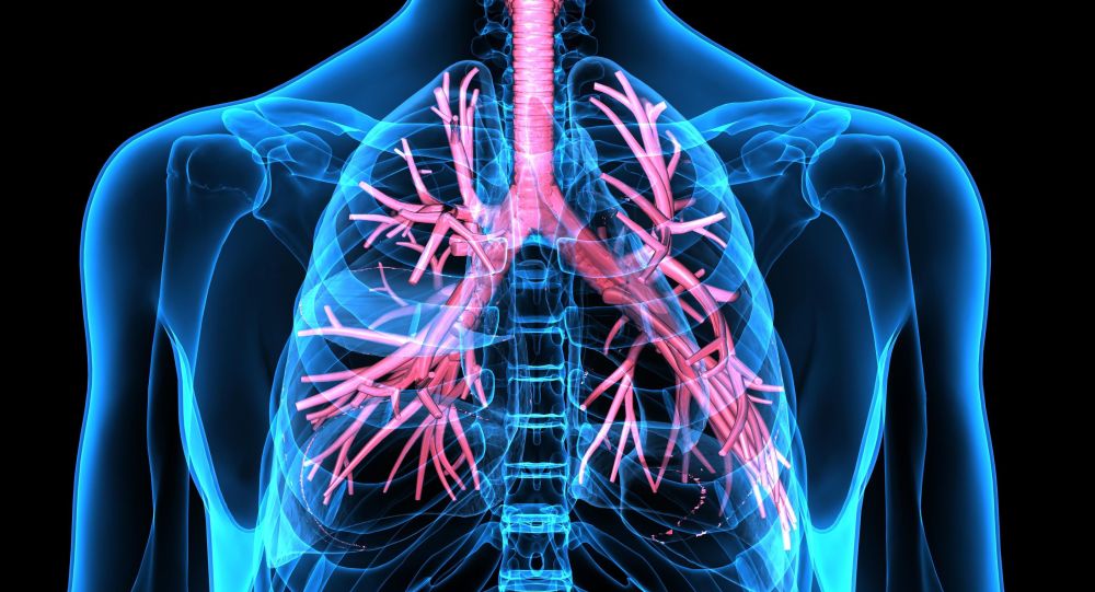 جسم الإنسان by nour mlika - Illustrated by amal ben ali  nour mlika  sahar amri - Ourboox.com