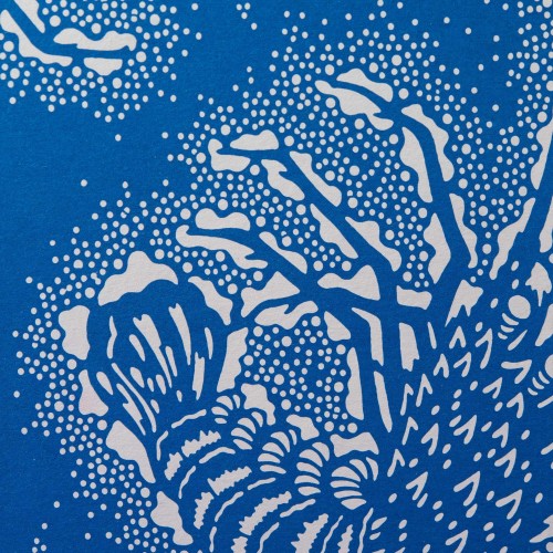 עבודת חקר במדעים by shachaf lieberman - Ourboox.com