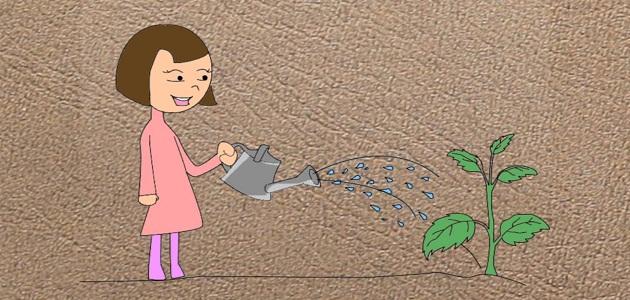 الماء by ranin - Illustrated by رنين - Ourboox.com