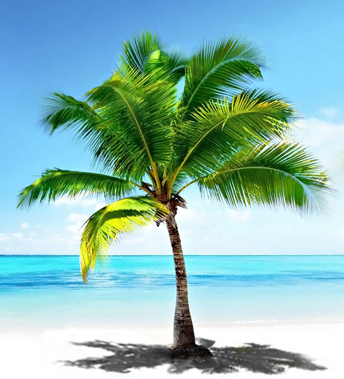 sıkıcı bir gün by Yusuf Aras Kuse - Ourboox.com