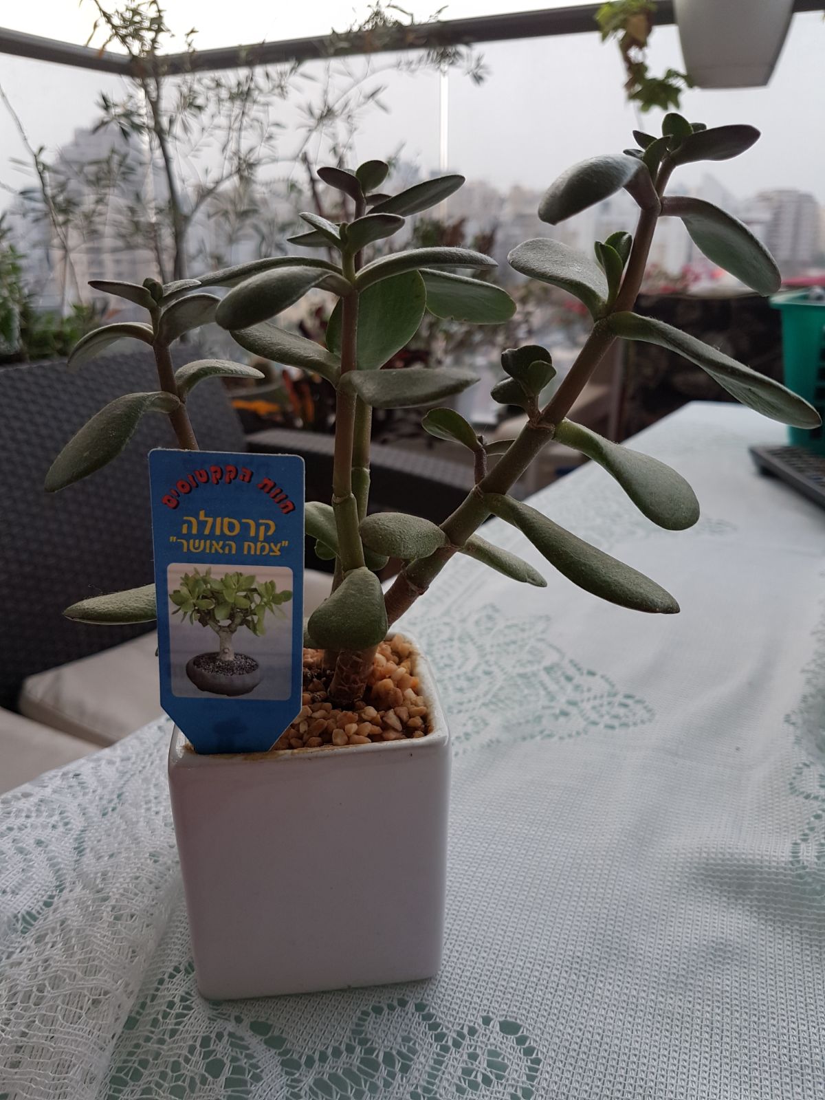 יומן מסע – תנ”ך by almog dahari - Illustrated by אלמוג דהרי - Ourboox.com