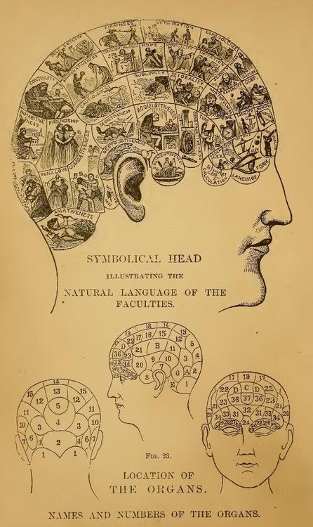 Localization by andrea - Illustrated by Andrea Guichaquelen - Ourboox.com