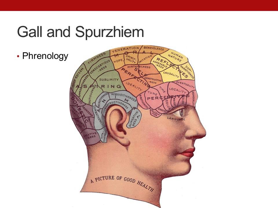 Localization by andrea - Illustrated by Andrea Guichaquelen - Ourboox.com