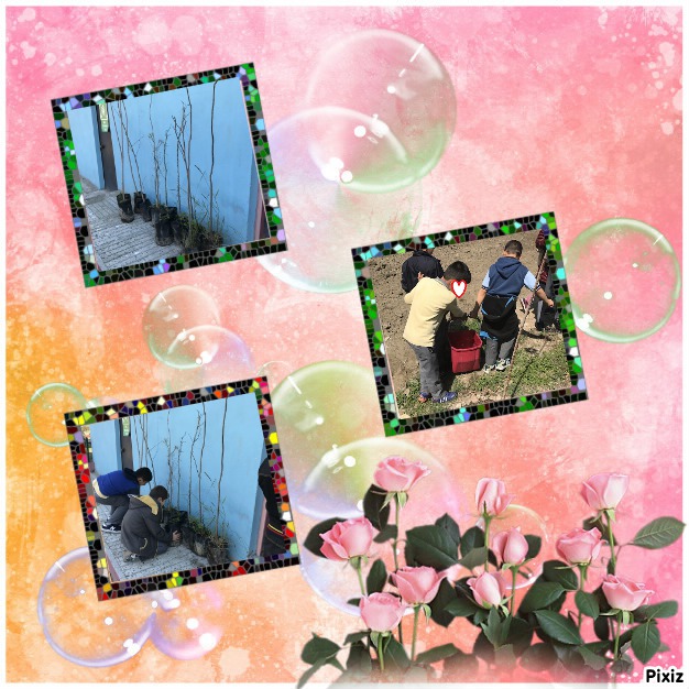 GELECEĞİNİZ İÇİN TASARRUFU SEÇİN PROJESİ MART AYI ÇALIŞMALARIMIZ by KEVSER - Ourboox.com