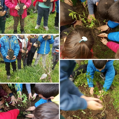 GELECEĞİNİZ İÇİN TASARRUFU SEÇİN PROJESİ MART AYI ÇALIŞMALARIMIZ by KEVSER - Ourboox.com