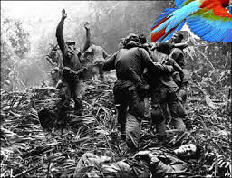 I am the parrot By Tomer by shiri - Ourboox.com